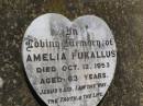 
Amelia PUKALLUS,
died 12 Oct 1953 aged 63 years;
Douglas Lutheran cemetery, Crows Nest Shire
