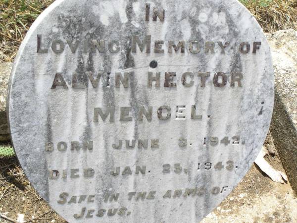 Alvin Hector MENGEL,  | born 3 June 1942 died 25 Jan 1943;  | Douglas Lutheran cemetery, Crows Nest Shire  | 