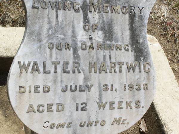 Walter HARTWIG,  | died 31 July 1938 aged 12 weeks;  | Douglas Lutheran cemetery, Crows Nest Shire  | 