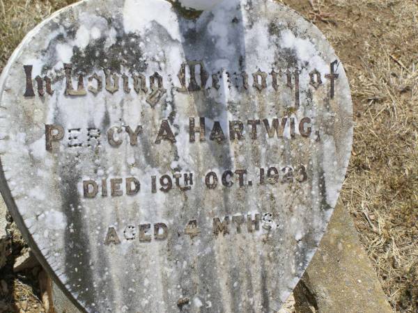 Percy A. HARTWIG,  | died 19 Oct 1923 aged 4 months;  | Douglas Lutheran cemetery, Crows Nest Shire  | 