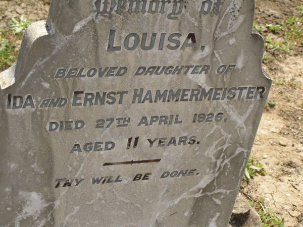 Louisa,  | daughter of Ida & Ernst HAMMERMEISTER,  | died 27 April 1926 aged 11 years;  | Dugandan Trinity Lutheran cemetery, Boonah Shire  | 