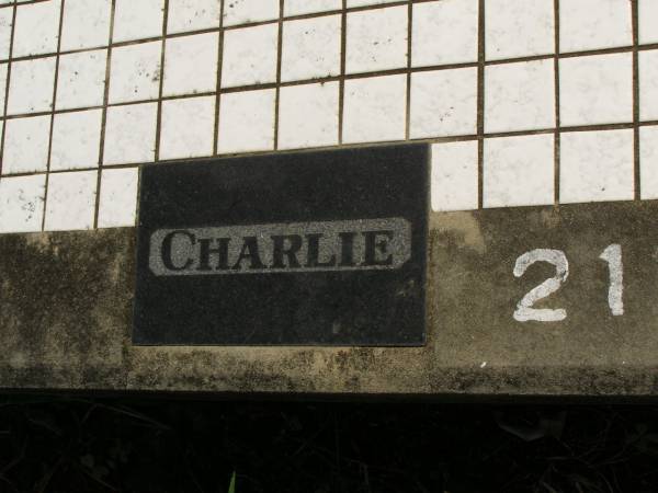 Carl August Albert (Charlie) PFLUGRADT,  | died 6 Nov 1979 aged 85 years;  | Dugandan Trinity Lutheran cemetery, Boonah Shire  | 