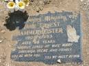 
Frank Ernest HAMMERMEISTER,
1905 - 1993 aged 88 years;
loved by wife Mary,
daughter Irene & family;
Dugandan Trinity Lutheran cemetery, Boonah Shire
