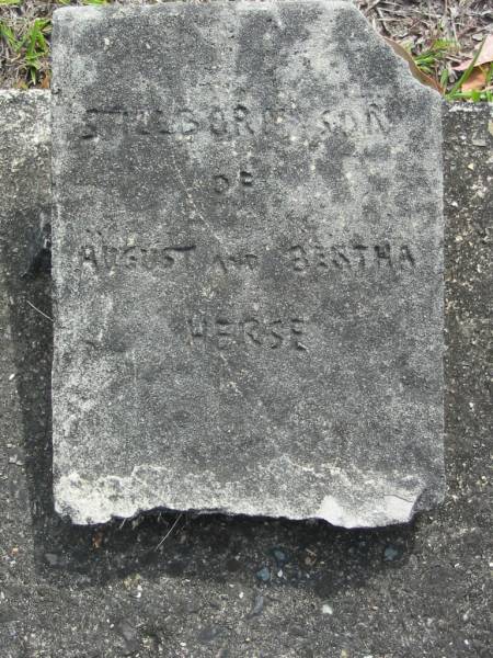 Stillborn son of August and Bertha HERSE  | Eagleby Cemetery, Gold Coast City  |   | 