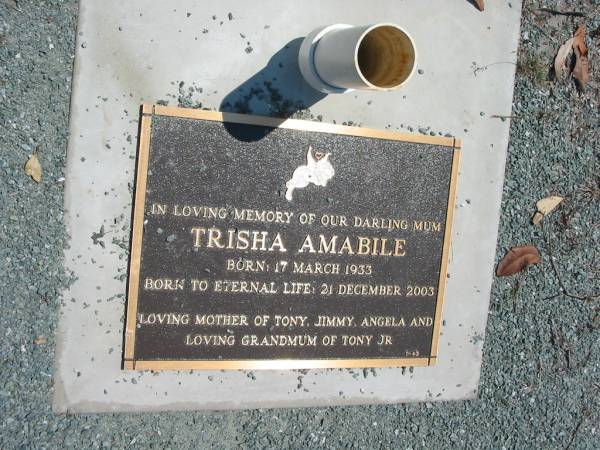 Trisha AMABILE  | b: 17 Mar 1933, d: 21 Dec 2003  | mother of Tony, Jimmy, Angela  | grandmother of Tony (Jr)  | Eagleby Cemetery, Gold Coast City  | 