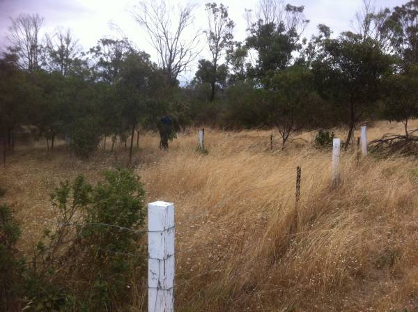 Emu Bay Historic Cemetery  | 