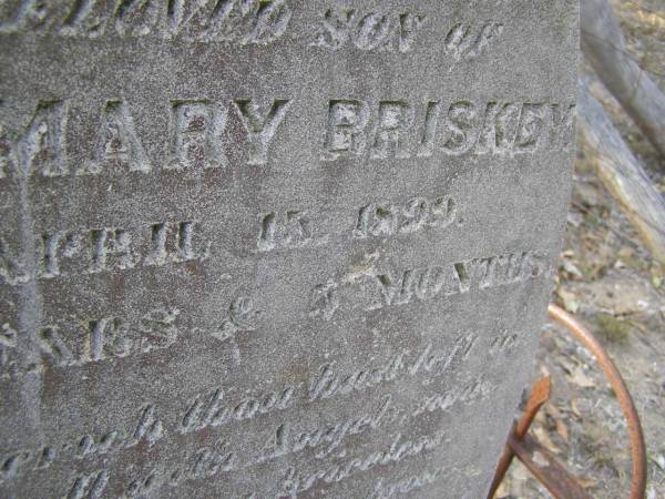 Frederich August Otto,  | son of Otto & Mary BRISKEY,  | died 10? April 1899 aged 13 years 4 months;  | Emu Creek cemetery, Crows Nest Shire  | 