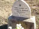 
Theodor Herman THEUERKAUF,
died 25 May 1900 aged 5 weeks;
Fernvale General Cemetery, Esk Shire
