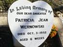 
Patricia Jean WERNOWSKI, daughter,
died 3 Oct 1952 aged 6 weeks;
Fernvale General Cemetery, Esk Shire
