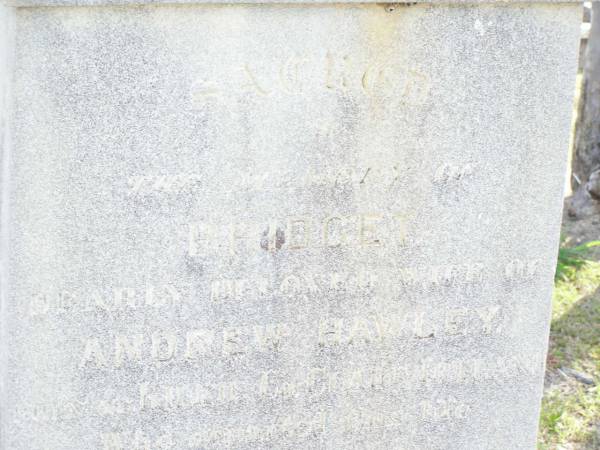 Bridget, wife of Andrew HAWLEY,  | born Kilkie Co. Claire Ireland,  | died 26 Jan 1918 aged 76 years;  | Forest Hill Cemetery, Laidley Shire  | 