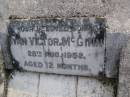 
Ivan Victor MCGINN,
died 28 Aug 1052 aged 12 months;
Gheerulla cemetery, Maroochy Shire

