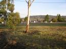 
Glencoe Bethlehem Lutheran cemetery, Rosalie Shire
