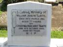 
William Joseph TAAFFE,
died 26 March 1961 aged 77 years;
Christina Margaret TAAFFE,
died 12 Oct 1966 aged 80 years;
Gleneagle Catholic cemetery, Beaudesert Shire
