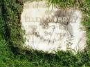 
Ellen MURRAY,
died 20-3-1978 aged 94 years;
Gleneagle Catholic cemetery, Beaudesert Shire
