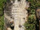 
Mary Frances,
only daughter of James & Elizabeth BASS,
died 25 Aug 1910 aged 24 years;
Gleneagle Catholic cemetery, Beaudesert Shire
