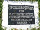 
Andrew MORAN,
died 1 Aug 1969 aged 84 years;
Gleneagle Catholic cemetery, Beaudesert Shire
