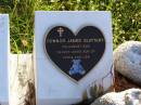 
Connor James SLATTERY,
died 3 Aug 2001,
son of Chris & Lisa;
Gleneagle Catholic cemetery, Beaudesert Shire
