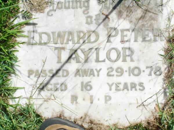 Edward Peter TAYLOR,  | died 29-10-78 aged 16 years;  | Gleneagle Catholic cemetery, Beaudesert Shire  | 