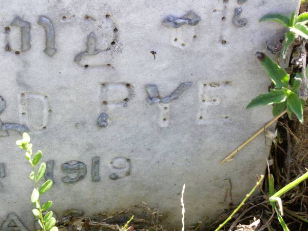 Ernest Edward PYE,  | died 26 July 1919 aged 26 years;  | Gleneagle Catholic cemetery, Beaudesert Shire  | 