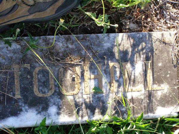 Daniel TOOHILL,  | died 8 Dec 1935 aged 79 years;  | Susan, wife,  | died 27 March 1938 aged 81 years;  | Gleneagle Catholic cemetery, Beaudesert Shire  | 