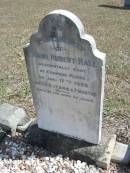 
Frank Hubert HALL
17 Jan 1903 aged 11 years 7 months (at Coopers Plains)
Gods Acre cemetery, Archerfield, Brisbane
