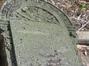
John JENKINS
died at Miriam Vale
Aug 1895
aged 31

?
Goodna GEN
Aug 1906



Elly JENKINS
Born in Mal..?


Goodna General Cemetery, Ipswich.

