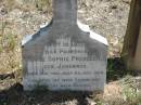 
Marie Sophie PRENZLER geb. JOHENNES geb. 4 Mai 1861 gest. 23 Juli 1914;
Goodna General Cemetery, Ipswich.
