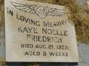 Kaye Noelle FRIEDRICH, died 21 Aug 1953 aged 8 weeks; Goomeri cemetery, Kilkivan Shire 