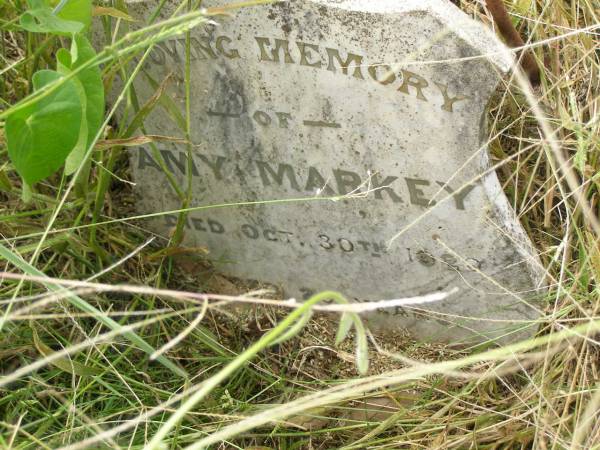 Amy MARKEY,  | died 30 Oct 1920 aged 29 years;  | Goomeri cemetery, Kilkivan Shire  | 