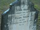 
Denis HOGAN,
died 26 Fev 1925 aged 82 years;
Ellen HOGAN, wife,
died 18 July 1914 aged 70 years;
Grandchester Cemetery, Ipswich

