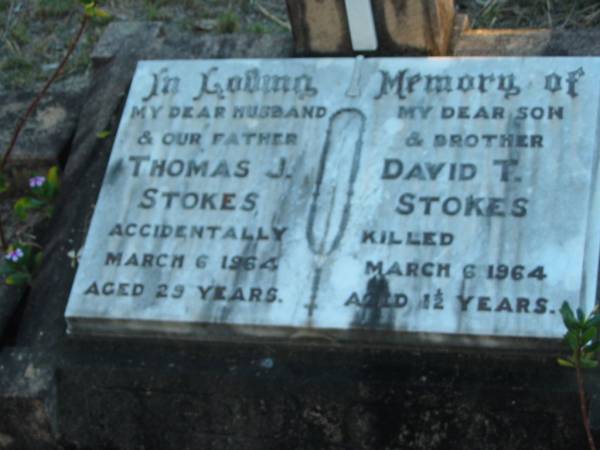 Thomas J. STOKES, husband father,  | accidentally killed 6 March 1964 aged 29 years;  | David T. STOKES, son brother,  | accidentally killed 6 March 1964 aged 1 1/2 years;  | Grandchester Cemetery, Ipswich  | 