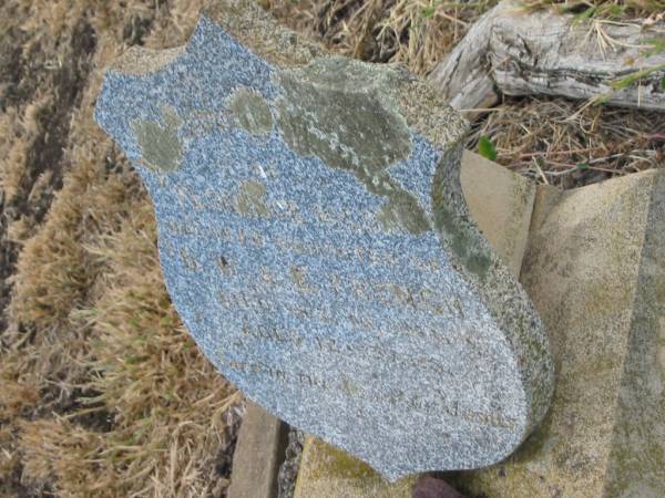 Florence Hilda,  | daughter of D.W. & E. FRENCH,  | died 15 Oct 1914 aged 12 years;  | Greenmount cemetery, Cambooya Shire  | 