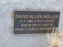 
David Allen NOLLER,
died 8-4-1960 lived 4 hours,
son of Roy & Lynette;
Greenwood St Pauls Lutheran cemetery, Rosalie Shire
