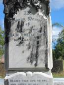 
wife
Maud Amelia DAWES
23 Mar 1917
25 yrs

St Matthews (Anglican) Grovely, Brisbane
