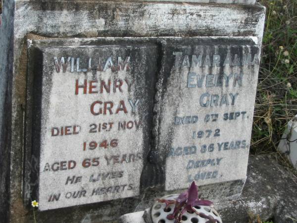 William Henry GRAY  | 21 Nov 1946  | aged 65  |   | Tamar Alma Evelyn GRAY  | 8 Sep 1972  | aged 86  |   | St Matthew's (Anglican) Grovely, Brisbane  | 