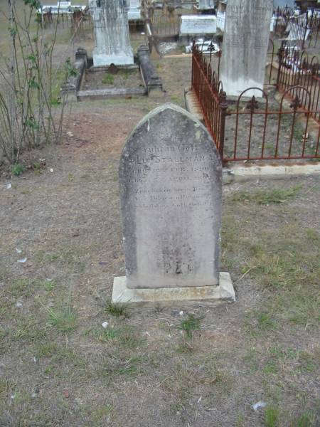 Lui STALLMANN,  | born 12 Feb 1890 died 2 April 1892;  | Haigslea Lawn Cemetery, Ipswich  | 