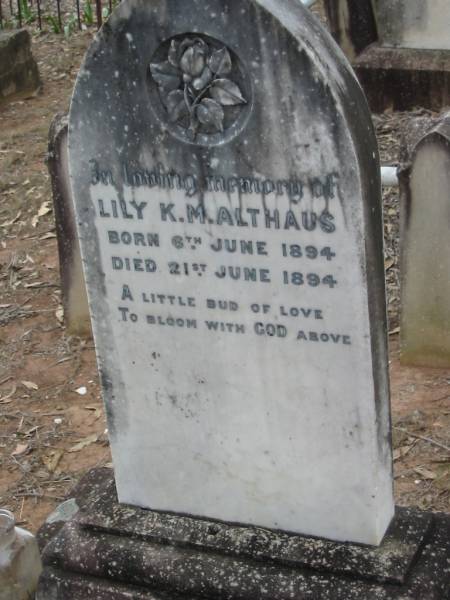 Lily K.M. ALTHAUS,  | born 6 June 1894 died 21 June 1894;  | Haigslea Lawn Cemetery, Ipswich  | 