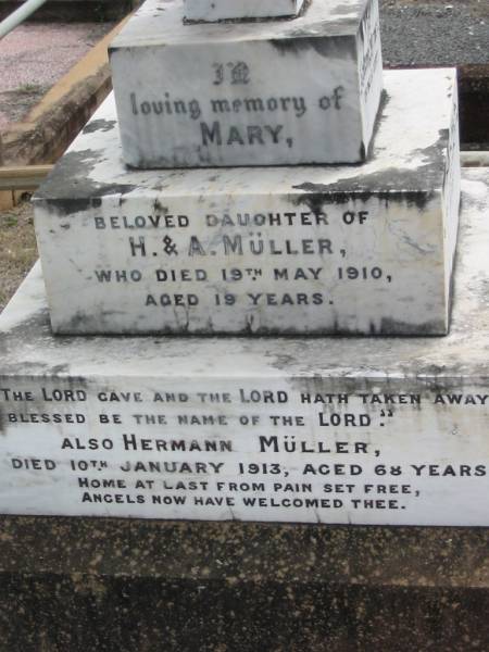 Mary  | (daughter of H and A) MULLER  | 19 May 1910, aged 19  | Hermann MULLER  | 10 Jan 1913, aged 68  | Annie G MULLER  | 30 Mar 1936, aged 87  | William EVERHARDT  | 2 Aug 1972, aged 84  | Annie C MULLER  | 2 Oct 1962 aged 81  | Haigslea Lawn Cemetery, Ipswich  | 