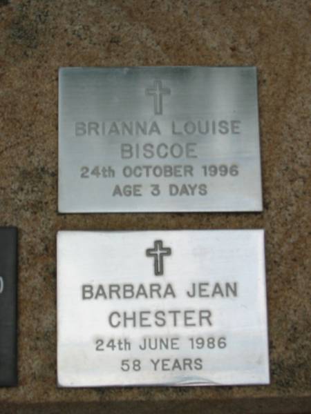 Brianna Louise BISCOE  | 24 Oct 1996, aged 3 days  | Barbara Jean CHESTER  | 24 Jun 1986, aged 58  | Saint Augustines Anglican Church, Hamilton  |   | 