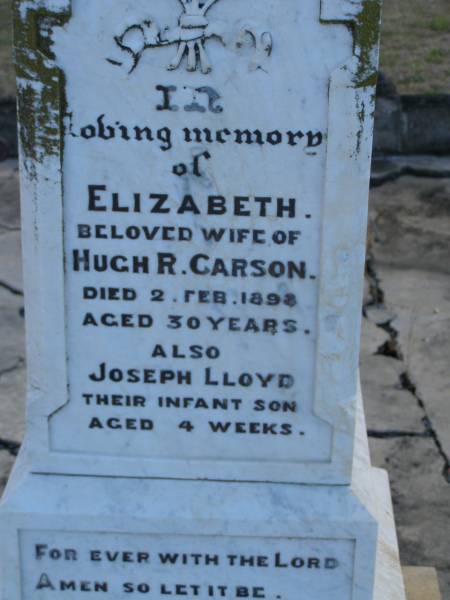 Elizabeth (CARSON)  | (wife of Hugh R CARSON)  | d: 2 Feb 1898, aged 30  | Joseph Lloyd (CARSON)  | infant son, aged 4 weeks  |   | Hugh H CARSON  | d: 26 Feb 1939, aged 80  |   | Hugh Mc L CARSON  | d: (France) 29 May 1918, aged 23  |   | Margaret (CARSON)  | (wife of William CARSON)  | d: 20 Sep 1900, aged 76  |   | William CARSON  | d: 26 Aug 1907, aged 87  |   | Alice Jane CARSON  | (daughter)  | d: 6 Oct 1932, aged 71  |   | Harrisville Cemetery - Scenic Rim Regional Council  | 