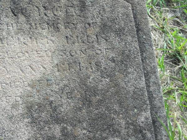 ??rter Nelly  | son of  | Mary Ann LE?IS  | d: Feb 1904?  | aged 2 years  |   | Harrisville Cemetery - Scenic Rim Regional Council  |   | 