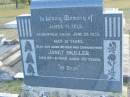 James M FELS d: 28 Jun 1935, aged 21 Janet SKILLER d: 29 Jun 1953, aged 70 Harrisville Cemetery - Scenic Rim Regional Council 