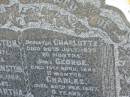 Eliza JOHNSTON d: Jan 1871, aged 66 Charles JOHNSTON d: 7 Jan 1909, aged 64 (wife) Martha (JOHNSTON) d: 23 Aug 1943, aged 89 (dau) Charlotte (JOHNSTON) d: 26 Jul 1873, aged 20 months (son) George (JOHNSTON) d: 13 Apr 1883, aged 11 months (son) Charles (JOHNSTON) d: 20 Feb 1887, aged 9 years (son) Andrew (JOHNSTONE) d: 15 Mar 1887, aged 7 months  Harrisville Cemetery - Scenic Rim Regional Council 