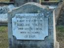 
Adeline WILEY
d: 12 Oct 1939, aged 43

Harrisville Cemetery - Scenic Rim Regional Council
