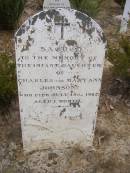 
infant daughter of Charles and Mary Ann JOHNSON
d: 19 Jul 1862 aged 1 mo

Harveys return Cemetery - Kangaroo Island


