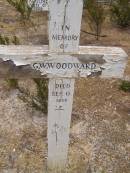 
G.W. WOODWARD
d: 13 Sep 1858

Harveys return Cemetery - Kangaroo Island

