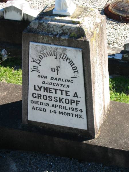 Lynette A. GROSSKOPF, died 19 Apr 1954 aged 14 months, daughter;  | St Paul's Lutheran Cemetery, Hatton Vale, Laidley Shire  | 