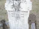 
Bertha Wilhelmine NEUMANN
b: 6 Dec 1864,
d: 25 Feb 1907
Old Hatton Vale (Apostolic) Cemetery

