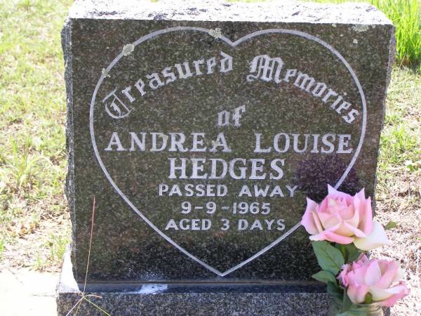 Andrea Louise HEDGES,  | died 9-9-1965 aged 3 days;  | Helidon General cemetery, Gatton Shire  | 