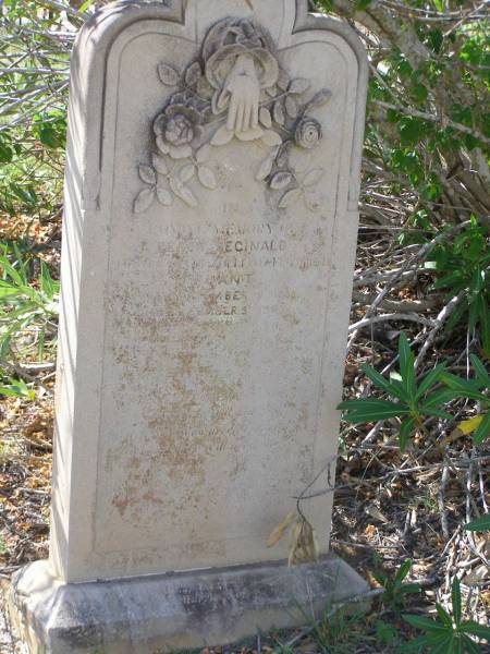 Percy Reginald,  | son of William & Elizabeth PLANT,  | born 18 Sep 1903 died 5 Dec 1903;  | Stella Sophia,  | daughter,  | born 24 Sept 1906 died 10 March 1907;  | Helidon General cemetery, Gatton Shire  | 